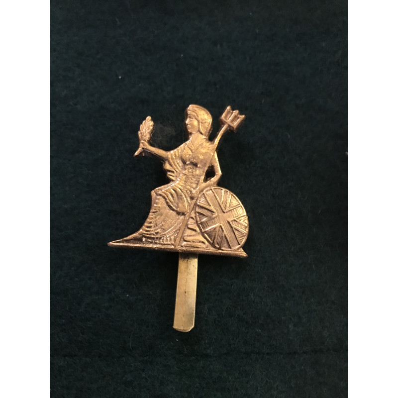 Norfolk regiment cap badge WW1 