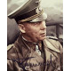 Field Marshal Rommel  print