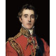 Duke of Wellington print