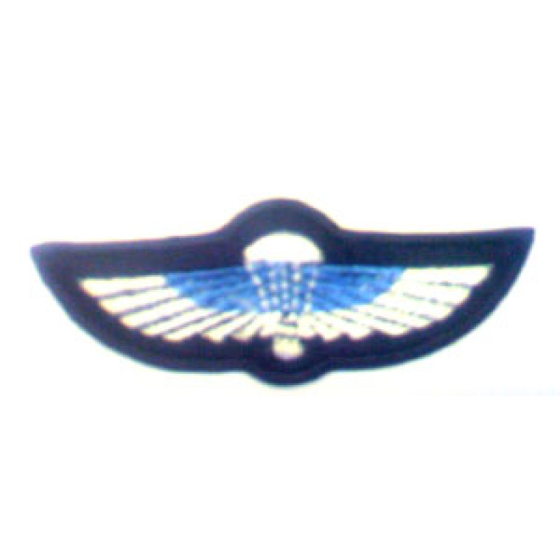 SAS Wings